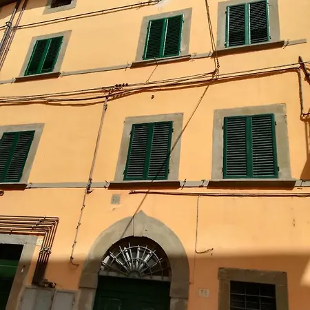 Il Tulipano